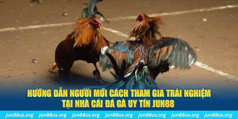 bet 69 loi game dot kich ket noi may chu that bai