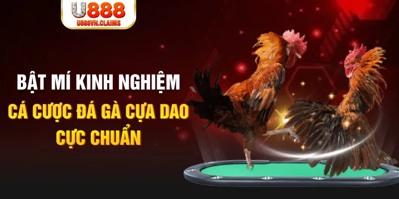 bet 69 xổ số miền nam xổ số miền nam