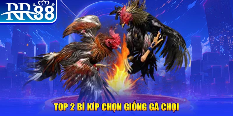 bet 69 máy thu cước bắn cá