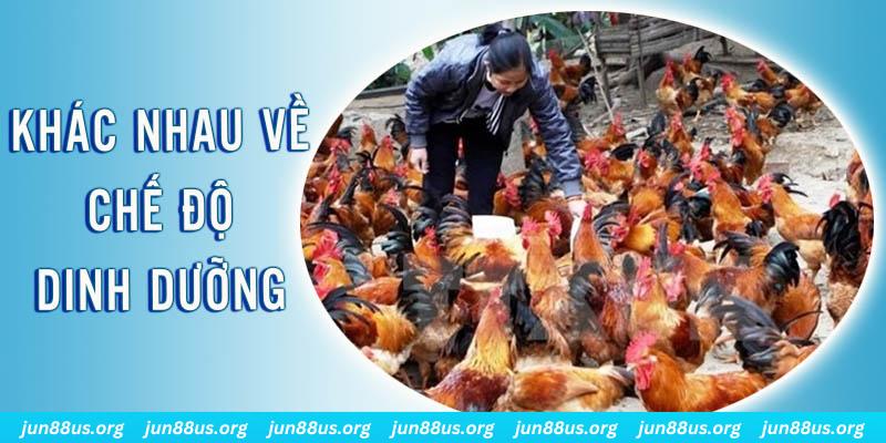 bet 69 xổ số miền nam thứ năm hàng tuần