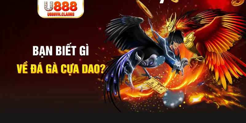 bet 69 quay thử xổ số miền nam