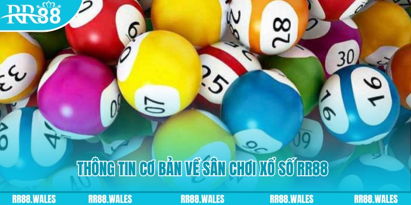 bet 69 đá gà hôm nay