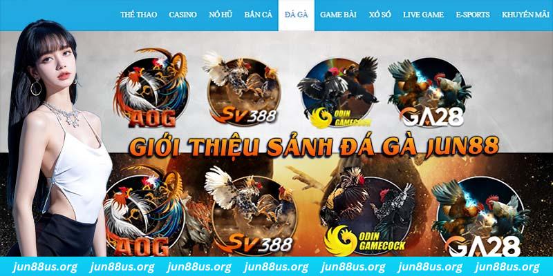 bet 69 đá gà trực tiếp bình luận viên