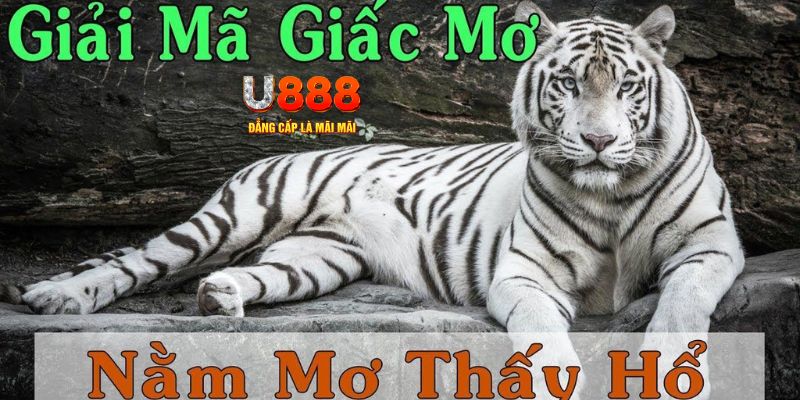 bet 69 qq88 nổ hũ bắn cá