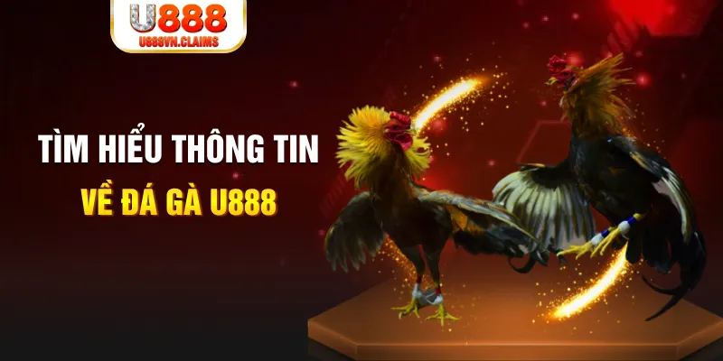 bet 69 đăng nhập tiến lên miền nam hàng đầu