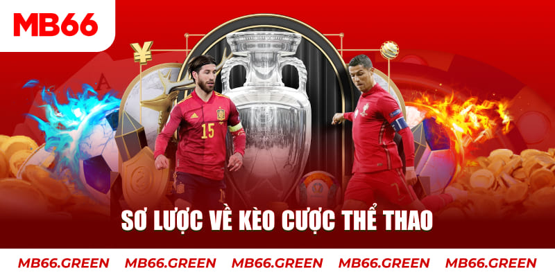 bet 69 gà chọi thomo