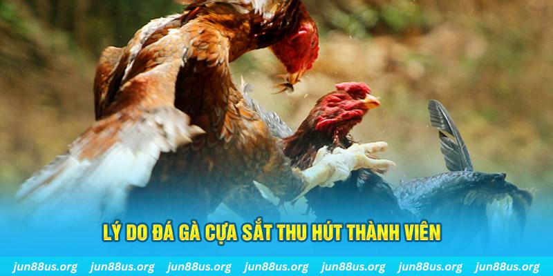 bet 69 chiếm slot là gì