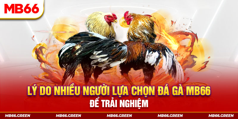 bet 69 KA Điện Tử