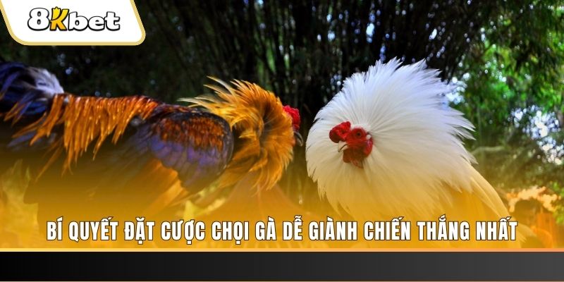 bet 69 xổ số thứ hai hàng tuần