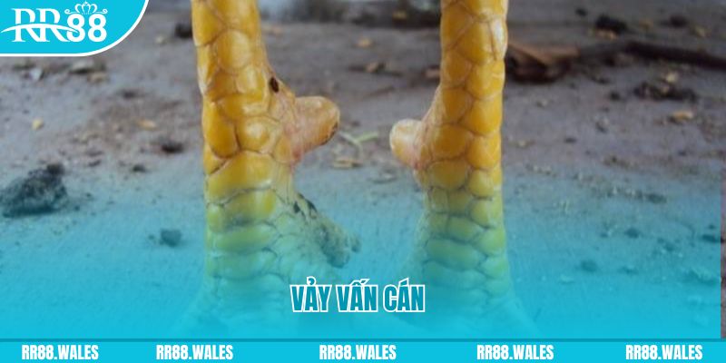 bet 69 đăng nhập nổ hũ hôm nay