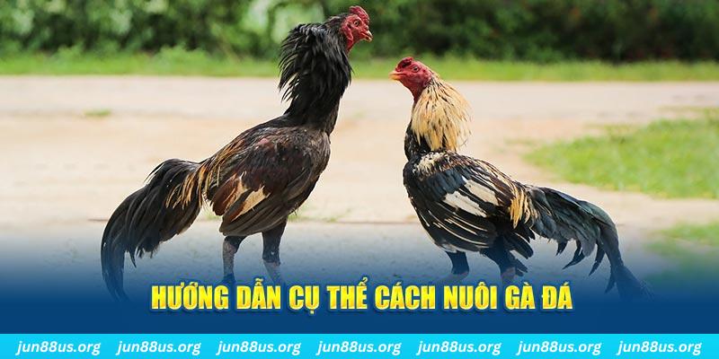 bet 69 đăng nhập sòng bạc số 1