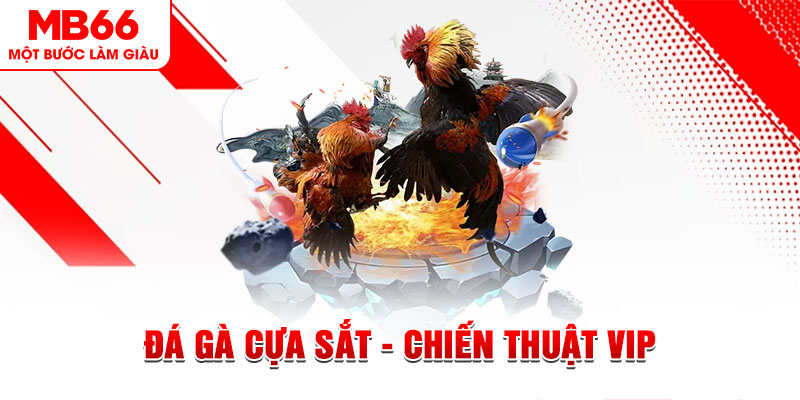 bet 69 xổ số trực tiếp hôm nay