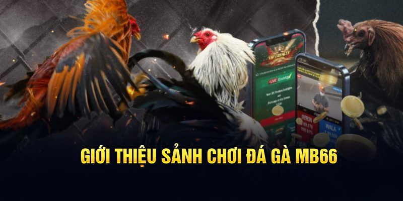 bet 69 đăng nhập poker hôm nay